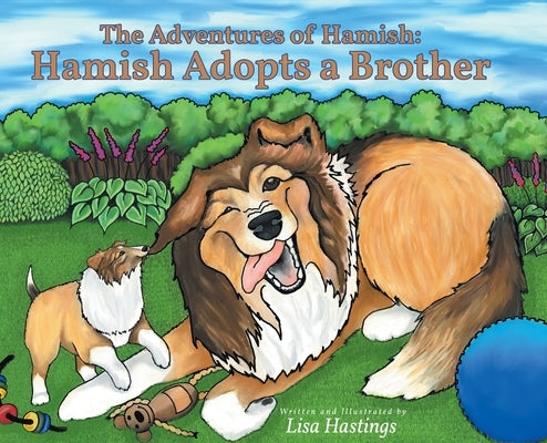 The Adventures of Hamish: Hamish Adopts a Brother by Hastings, Lisa