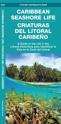 Caribbean Seashore Life (Criaturas del Litoral Caribeno): A Guide to the Life in the Littoral Zone (Bilingual) by Leung, Raymond