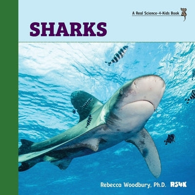 Sharks by Woodbury, Rebecca