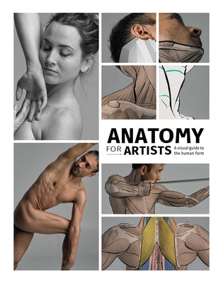 Anatomy for Artists: A Visual Guide to the Human Form by Publishing 3dtotal