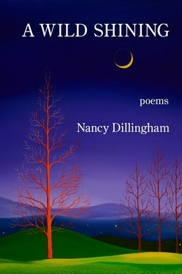 A Wild Shining by Dillingham, Nancy
