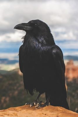 The Teen Witch's Diary: My First Book of Shadows by Essentials, Pagan