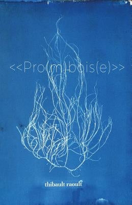 Pro(m)bois(e) by Raoult, Thibault