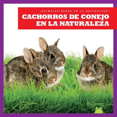 Cachorros de Conejo En La Naturaleza (Rabbit Kits in the Wild) by Chanez, Katie