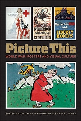 Picture This: World War I Posters and Visual Culture by James, Pearl