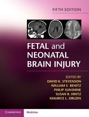Fetal and Neonatal Brain Injury by Stevenson, David K.