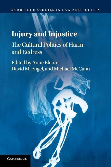 Injury and Injustice: The Cultural Politics of Harm and Redress by Bloom, Anne