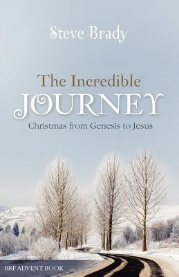 The Incredible Journey by Brady, Steve