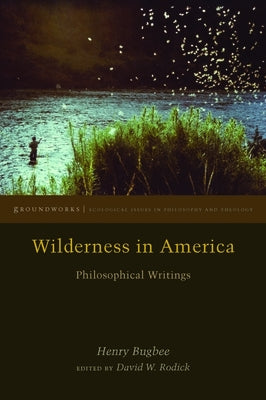 Wilderness in America: Philosophical Writings by Bugbee, Henry