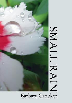 Small Rain by Crooker, Barbara