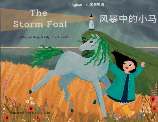 The Storm Foal: 风暴中的小马 by Bray, Megsie