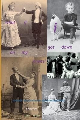 what if i got down on my knees by Rauch, Tony