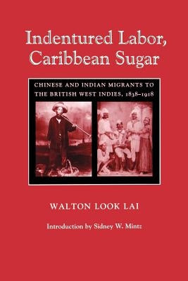 Indentured Labor, Caribbean Sugar: Chinese and Indian Migrants to the British West Indies, 1838-1918 by Lai, Walton Look