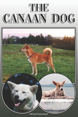 The Canaan Dog: A Complete and Comprehensive Owners Guide To: Buying, Owning, Health, Grooming, Training, Obedience, Understanding and by Stonewood, Michael
