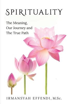 Spirituality: The Meaning, Our Journey and the True Path by Effendi, Irmansyah