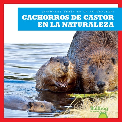 Cachorros de Castor En La Naturaleza (Beaver Kits in the Wild) by Chanez, Katie