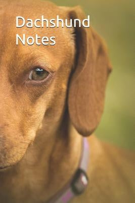 Dachshund Notes by Victoria, Susan