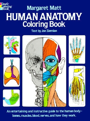Human Anatomy Coloring Book by Matt, Margaret