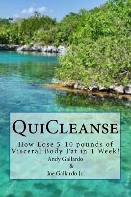 QuiCleanse: How Lose 5-10 pounds of Visceral Body Fat in 1 Week! by Gallardo Jr, Joe