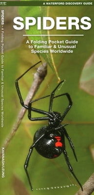Spiders: A Folding Pocket Guide to Familiar Species Worldwide by Kavanagh, James