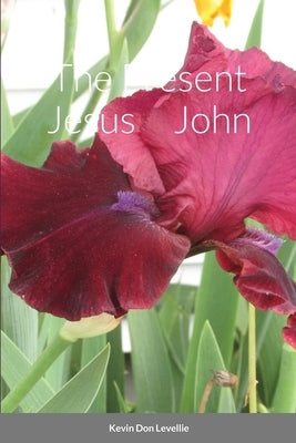 The Present Jesus John by Levellie, Kevin
