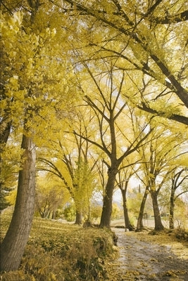 A história de Anne: O que a dor da rejeição é capaz de fazer com um ser humano by Bhering Milate, Sandra