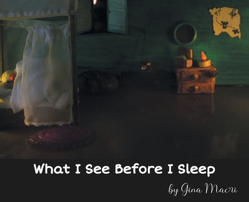 What I See Before I Sleep by Macri, Gina