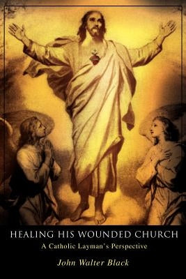 Healing His Wounded Church: A Catholic Layman's Perspective by Black, John Walter