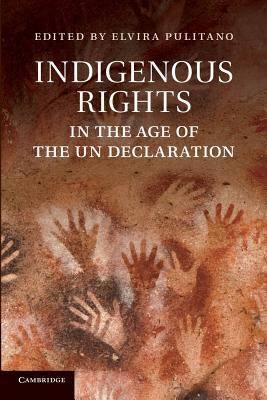Indigenous Rights in the Age of the Un Declaration by Pulitano, Elvira