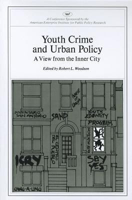 Youth Crime and Urban Policy: A View from the Inner City (AEI symposia) by Woodson, Robert L.