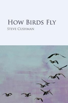 How Birds Fly by Cushman, Steve