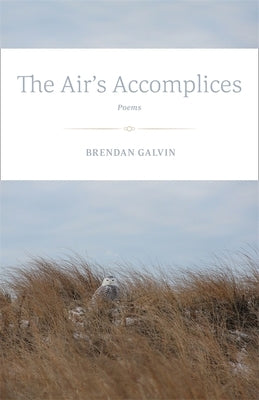 The Air's Accomplices: Poems by Galvin, Brendan