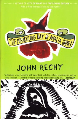 The Miraculous Day of Amalia Gómez by Rechy, John