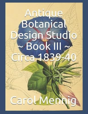 Antique Botanical Design Studio Book III Circa 1839-40 by Mennig, Carol