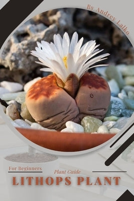 Lithops Plant: Plant Guide by Lalko, Andrey