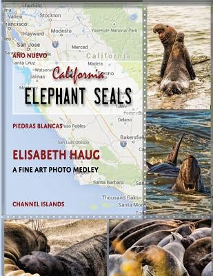 California Elephant Seals by Haug, Elisabeth