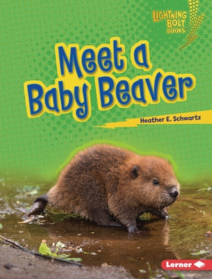 Meet a Baby Beaver by Schwartz, Heather E.