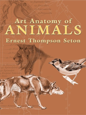 Art Anatomy of Animals by Thompson Seton, Ernest