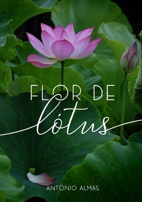 Flor de Lótus by Almas, António