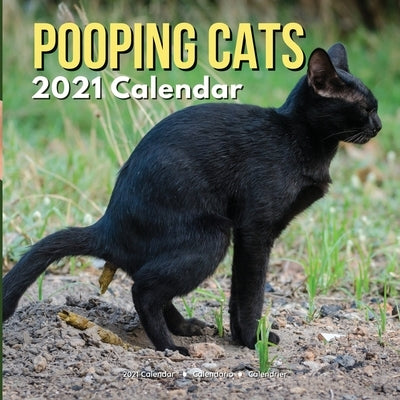 Pooping Cats Calendar 2021: Funny Animal Gag Joke Presents for Men Kids Women Birthday Christmas Stocking Stuffers Fillers Gifts by Summers, Ellon