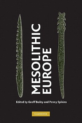 Mesolithic Europe by Bailey, Geoff