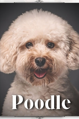 Poodle: Dog Breed guide by Pustova, Nina