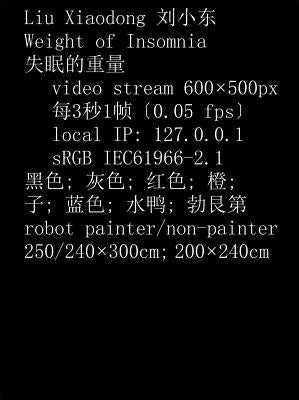 Liu Xiaodong: Weight of Insomnia by Xiaodong, Liu