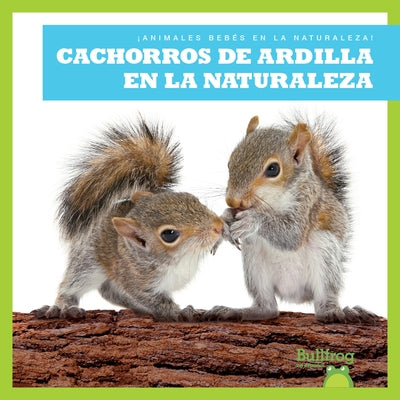 Cachorros de Ardilla En La Naturaleza (Squirrel Kits in the Wild) by Chanez, Katie