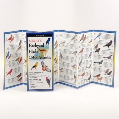 Sibley's Backyard Birds of Mid-Atlantic by Sibley, David