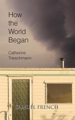 How the World Began by Trieschmann, Catherine