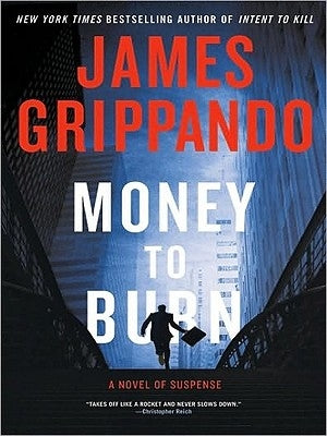 Money to Burn: A Novel of Suspense by Grippando, James