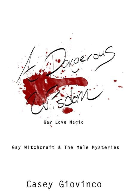 A Dangerous Wisdom: Gay Love Magic by Shadow, Shawn M.