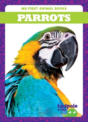 Parrots by Nilsen, Genevieve