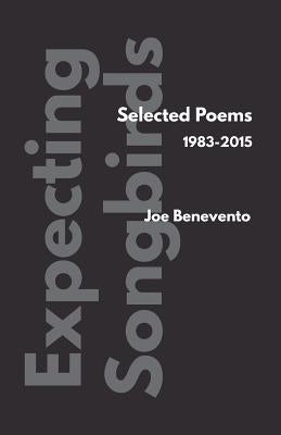 Expecting Songbirds by Benevento, Joe
